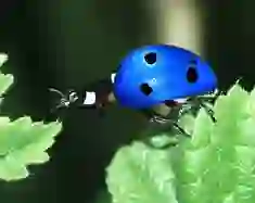 Liberal Analiz: Eğitim Sisteminin Paradigma Değişimi-Ezberden Yaratıcılığa