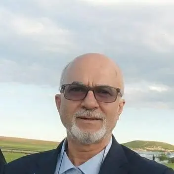 DEMOKRASİ VE DALGALARI (Gen.Bşk. Zübeyir GÜLABİ)